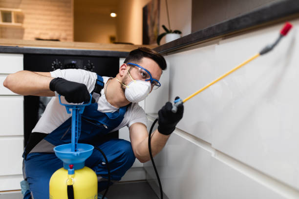 Best Wasp Removal Services  in Harristown, IL