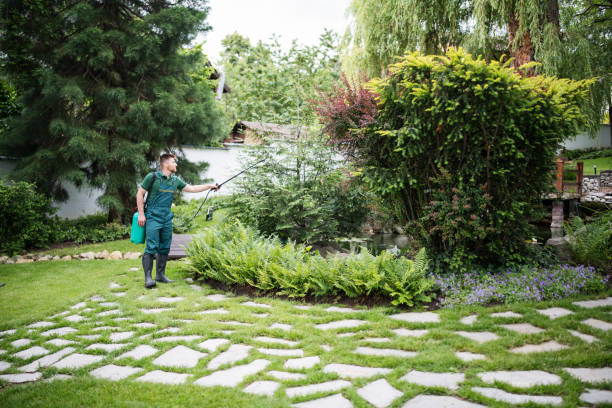 Best Residential Pest Control  in Harristown, IL