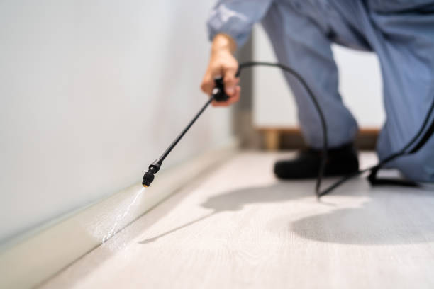 Best Affordable Pest Control Services  in Harristown, IL