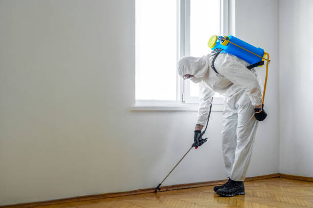 Best Pest Removal Services  in Harristown, IL