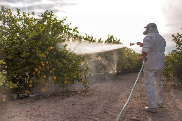 Best Mosquito Control Services  in Harristown, IL