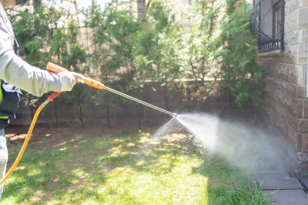 Best Pest Control Treatment  in Harristown, IL