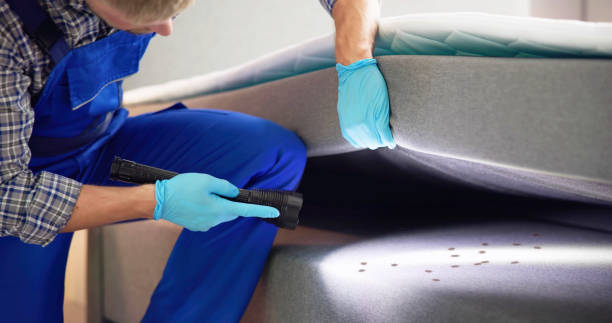 Best Rat Extermination Near Me  in Harristown, IL
