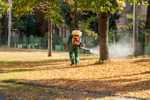 Best Mosquito Control Services  in Harristown, IL