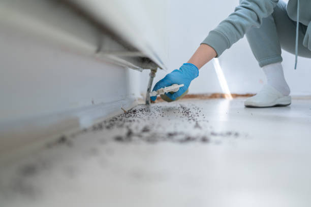 Best Pest Prevention Services  in Harristown, IL